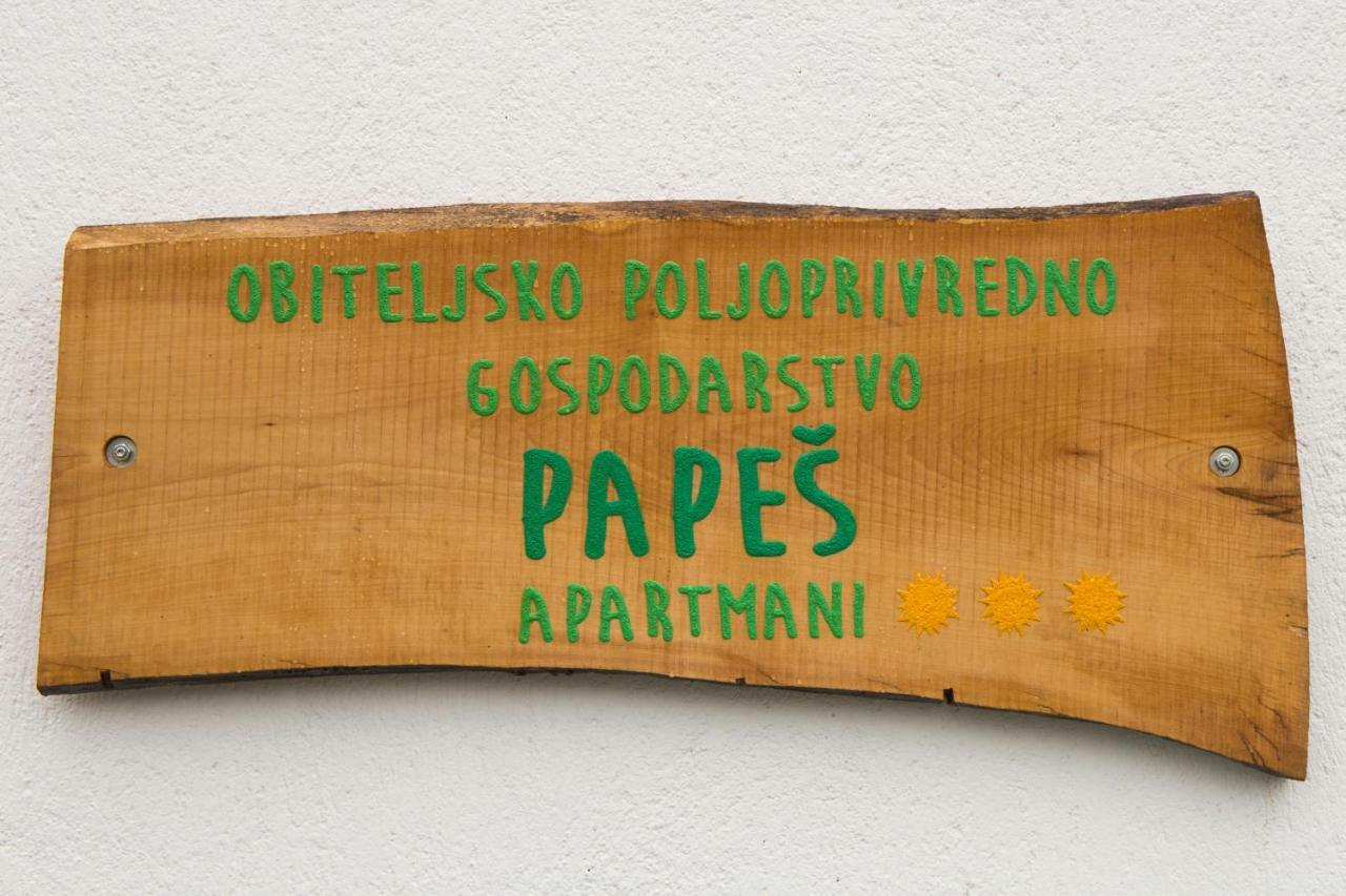 Apartmani Papes Krapina Exterior photo